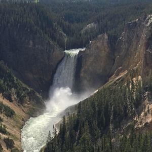 Meet your Posher, Alisa